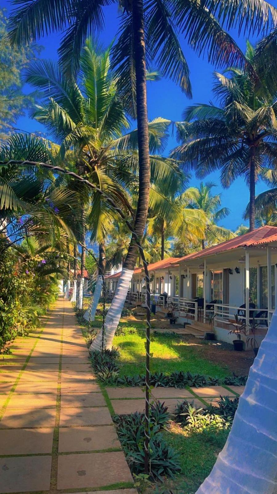 Arabian Sea Beach Resort Morjim Exterior photo